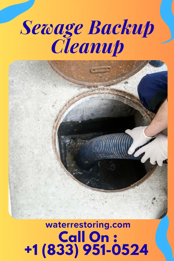 Sewage Backup Cleanup in Thunder Mountain, NM